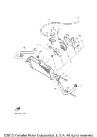 Radiator Hose