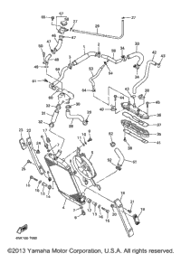 Radiator Hose