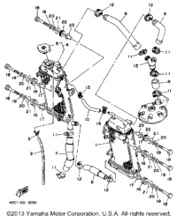 Radiator - Hose