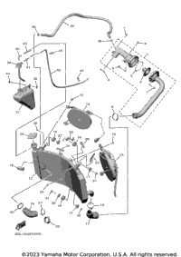 Radiator & Hose