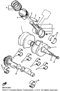 Crankshaft Piston