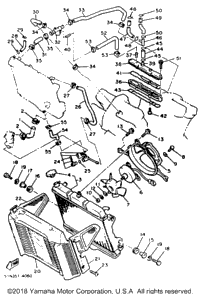 Radiator Hose