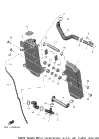 Radiator & Hose