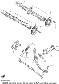 Camshaft Chain