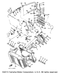 Radiator Hose