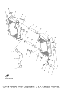 Radiator Hose