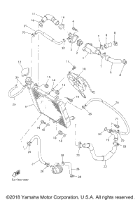 Radiator Hose