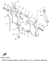 Radiator Hose