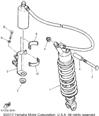 Rear Shocks