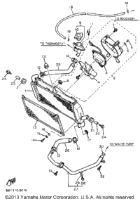 Radiator Hose