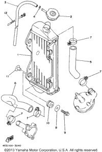 Radiator - Hose