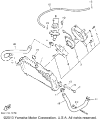 Radiator Hose