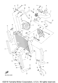 Radiator Hose