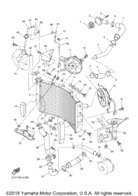 Radiator Hose