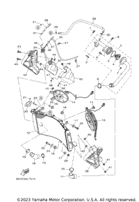 Radiator Hose
