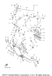 Radiator Hose