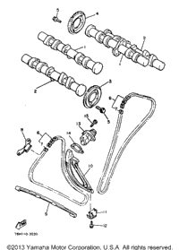Camshaft Chain