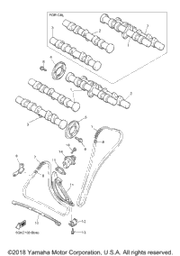 Camshaft Chain
