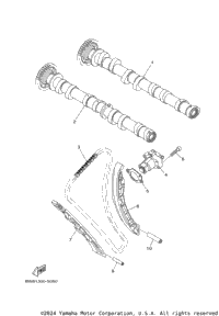 Camshaft & Chain