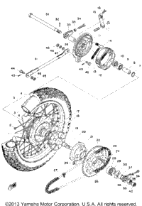 Rear Wheel