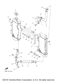 Radiator Hose