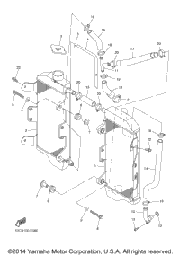 Radiator Hose