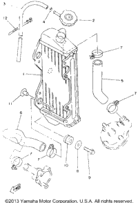 Radiator - Hose