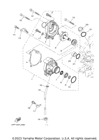 Water Pump