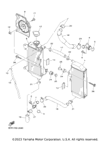 Radiator Hose