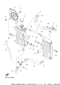 Radiator Hose