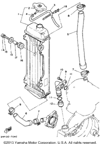 Radiator Hose