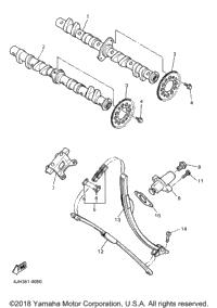 Camshaft Chain