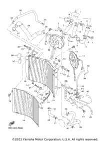 Radiator & Hose
