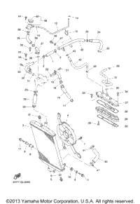 Radiator Hose