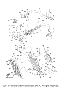 Radiator Hose