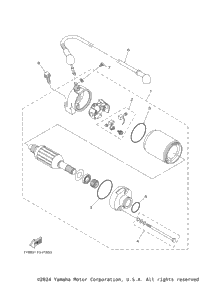 Starting Motor