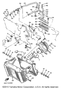 Radiator Hose
