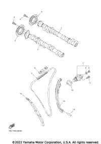 Camshaft & Chain