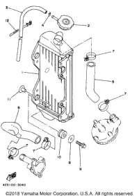 Radiator Hose