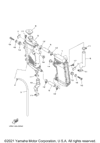 Radiator Hose