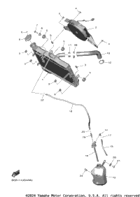 Radiator & Hose