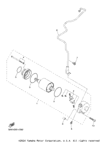 Starting Motor