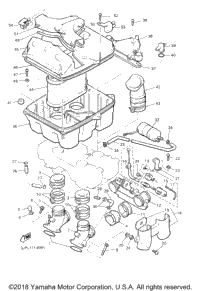 Intake