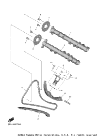 Camshaft Chain