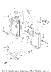 Radiator Hose
