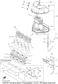 Intake