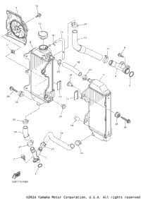 Radiator Hose