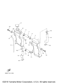 Radiator Hose