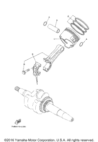 Crankshaft Piston