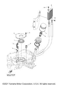 Oil Cooler